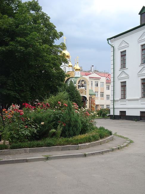 Во дворе Мариинской больницы