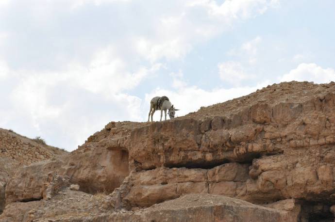 Паломничество в Лавру Саввы Освященного Паломничество в Лавру Саввы Освященного