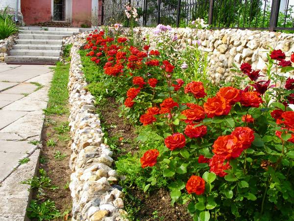 Паломническая поездка Малоярославец-Боровск Паломническая поездка Малоярославец-Боровск