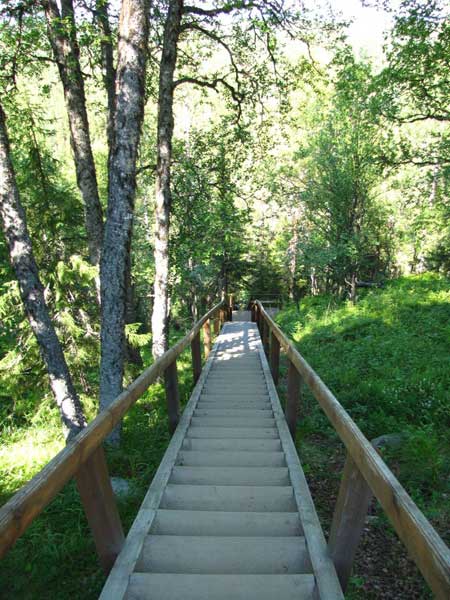 Соловецкие зарисовки Соловецкие зарисовки
