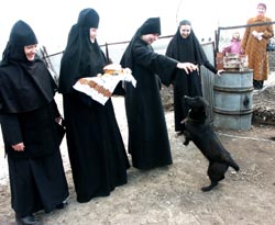 В скиту В скиту