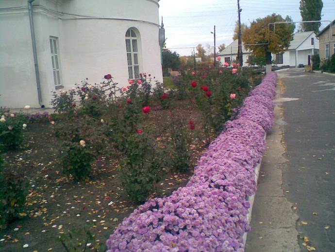 Старобельский женский монастырь в честь иконы Божией Матери "Всех скорбящих Радосте" Старобельский женский монастырь в честь иконы Божией Матери "Всех скорбящих Радосте"