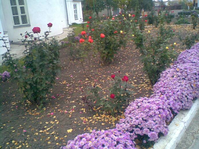 Старобельский женский монастырь в честь иконы Божией Матери "Всех скорбящих Радосте" Старобельский женский монастырь в честь иконы Божией Матери "Всех скорбящих Радосте"