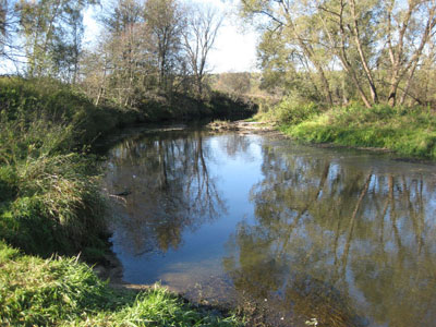 Река Истра, переименованная патр. Никоном в Иордан Река Истра, переименованная патр. Никоном в Иордан