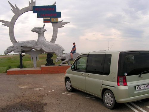 Стелла с сайгаками