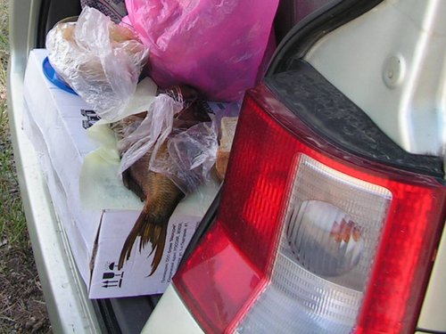 На обед у нас копченый лещ, которого мы купили в Волгограде, и пирожки