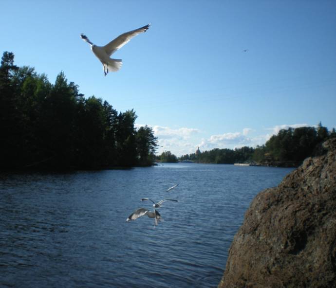 Поездка на Валаам Поездка на Валаам