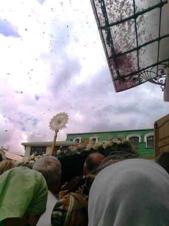 Парящие лепестки роз у Архиепископа Луки Парящие лепестки роз у Архиепископа Луки