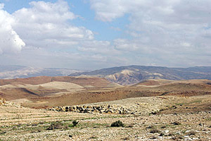 Вид Святой Земли, открывающийеся с горы Вид Святой Земли, открывающийеся с горы